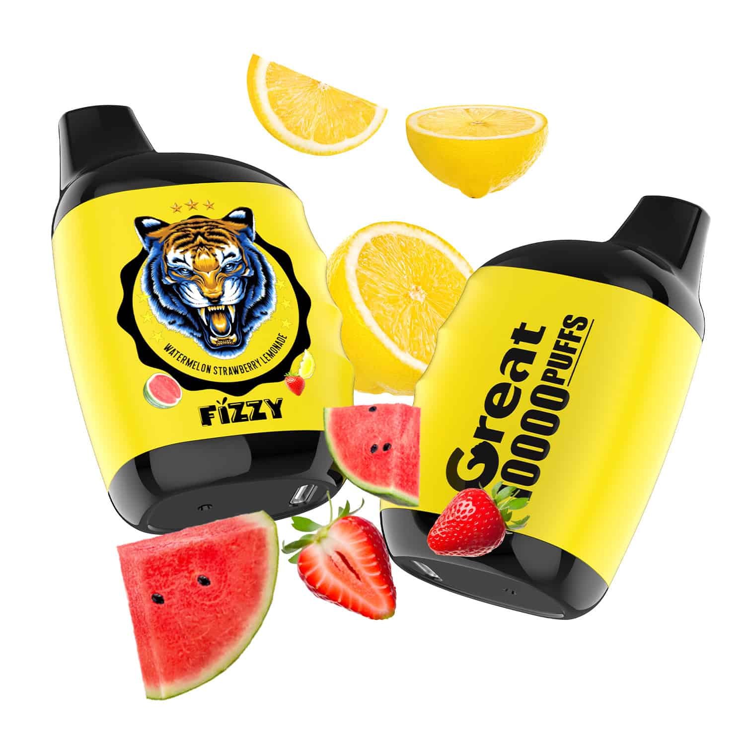 Fizzy Great Flavor05